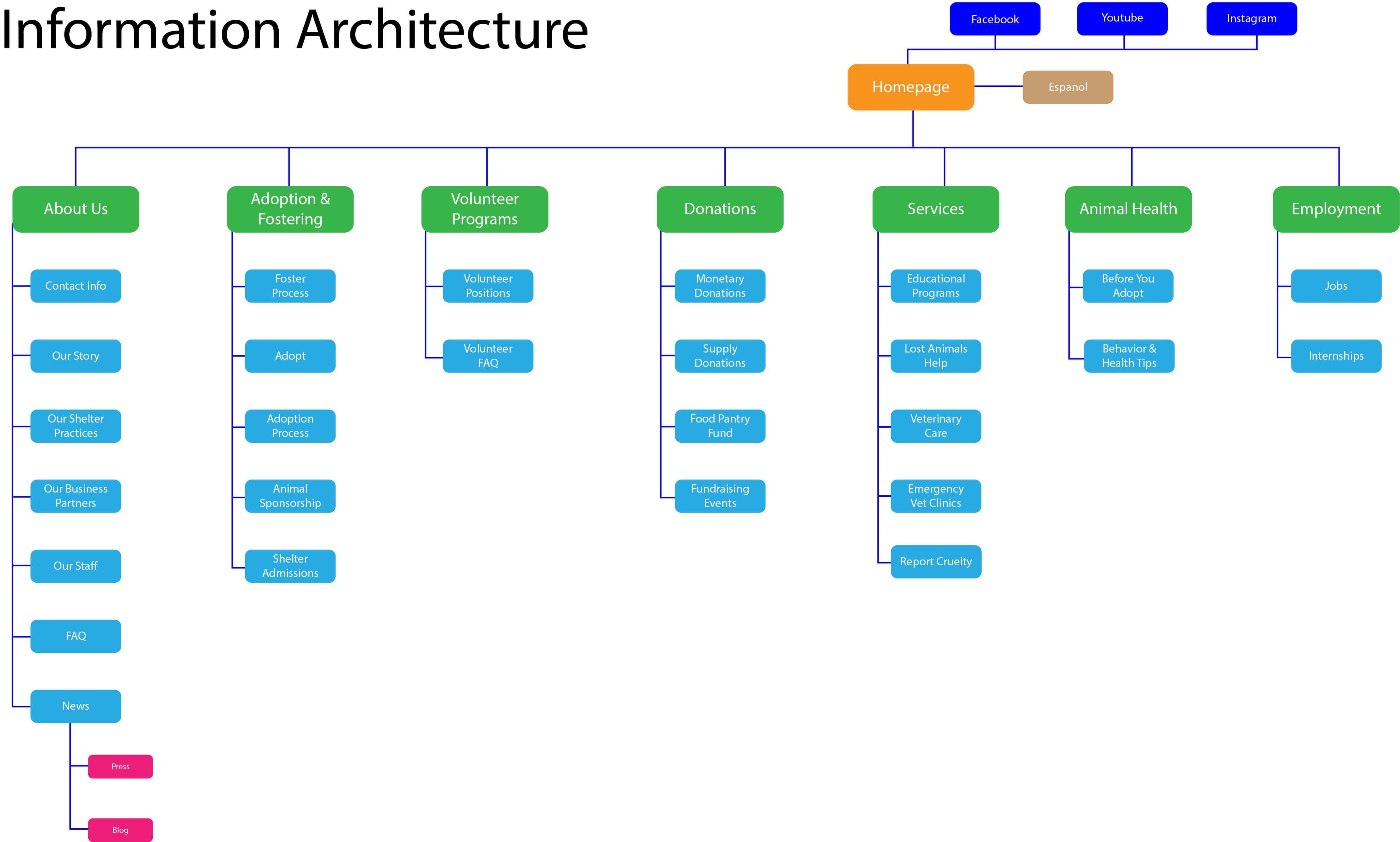 Information Architecture